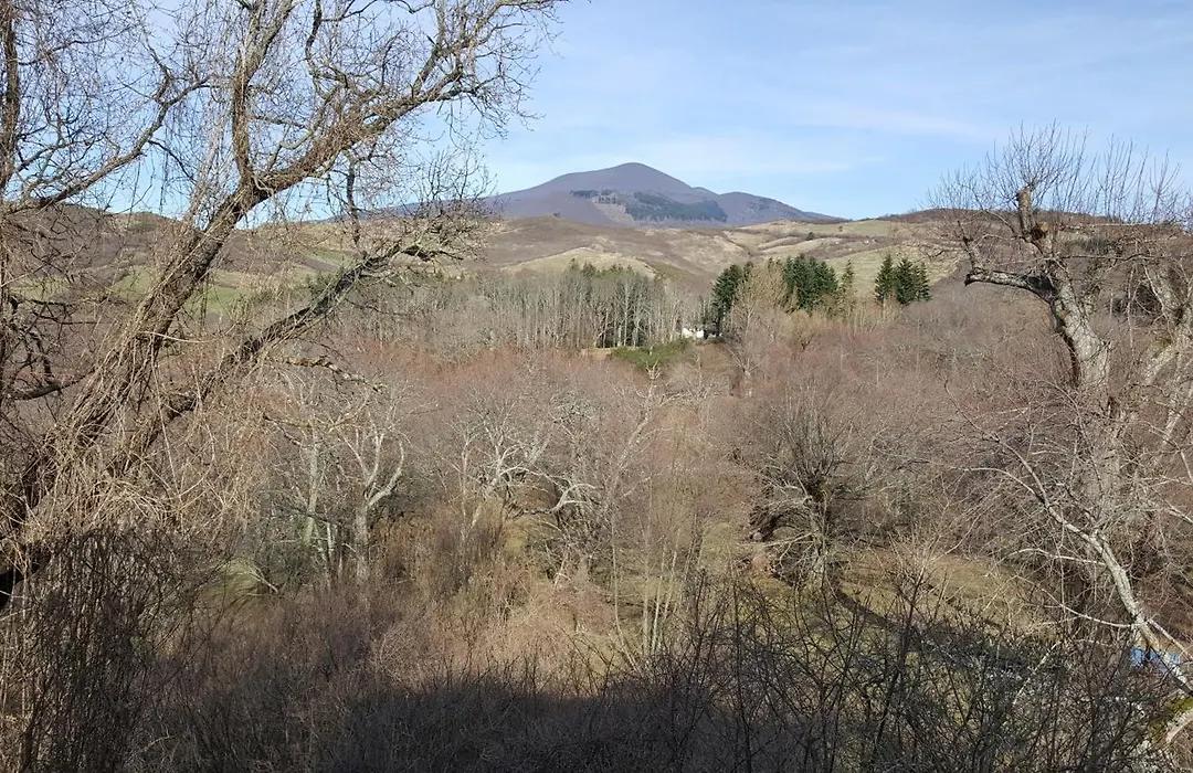 Agriturismo Bio I Rondinelli-1